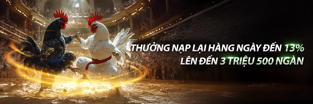 Nền tảng giải trí 13.win với các trò chơi cá cược sôi động